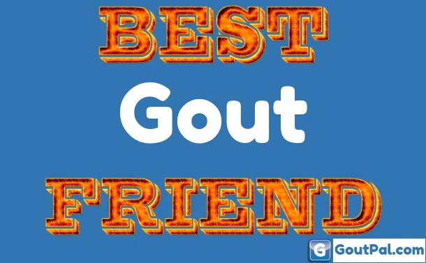 Best Gout Friend