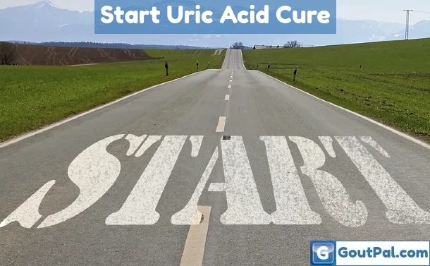 Starting Your Uric Acid Cure