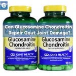 Can Glucosamine Chondroitin Repair Gout Joint Damage?