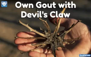Own Gout with Devil's Claw