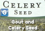 Gout and Celery Seed Photo
