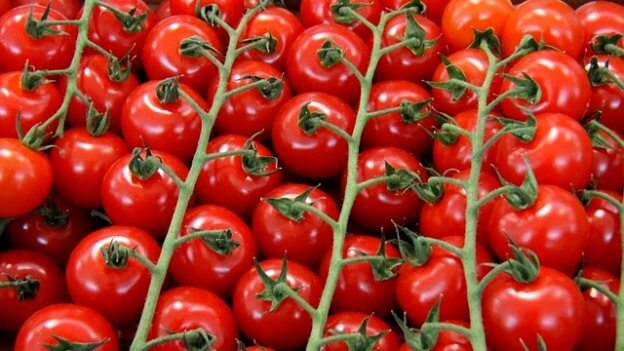 Are Cherry Tomatoes Good for Gout?