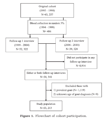 Smoking and Gout Study: Participation Flowchart