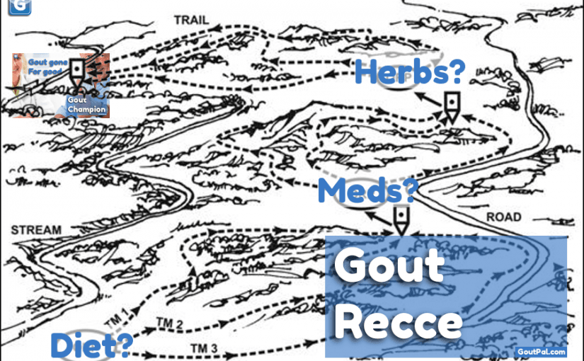 Gout Recce Group image