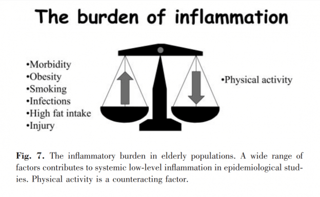 Gout, Inflammation and Physical Activity