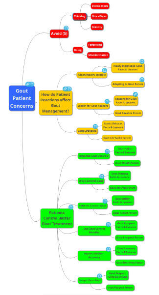 Map of Gout Patient Concerns