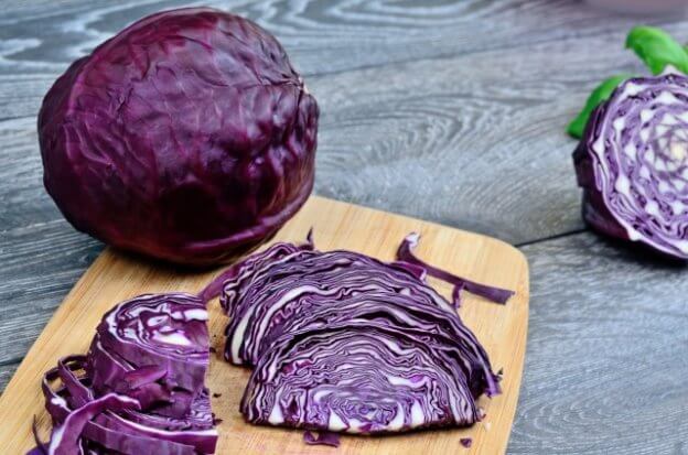 topic-red-cabbage-is-the-ultimate-gout-killer-goutpal-gout-forum