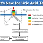 Uric Acid Tests